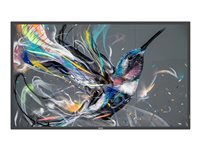 Philips 75BDL3510Q - Classe de diagonale 75" (74.5" visualisable) - Q-Line écran LCD rétro-éclairé par LED - signalisation numérique - 4K UHD (2160p) 3840 x 2160 - Direct LED 75BDL3510Q/00